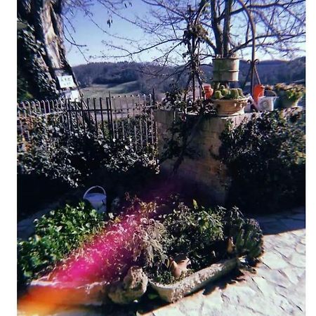Apartamento La Casina Di Ancicucco 1 San Gimignano Exterior foto